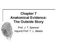 Chapter 7 Anatomical Evidence: The Outside Story PowerPoint PPT Presentation