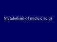 Metabolism of nucleic acids PowerPoint PPT Presentation