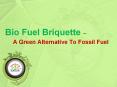 Bio Fuel Briquette – A Green Alternative To Fossil Fuel PowerPoint PPT Presentation