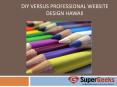 DIY versus Professional Website Design Hawaii PowerPoint PPT Presentation