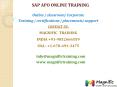 sap apo online training PowerPoint PPT Presentation