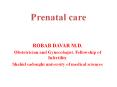 Prenatal care PowerPoint PPT Presentation