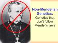Non-Mendelian Genetics: Genetics that don PowerPoint PPT Presentation