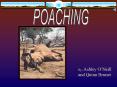 POACHING PowerPoint PPT Presentation