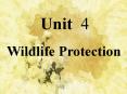 Wildlife Protection PowerPoint PPT Presentation