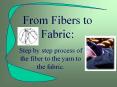 From Fibers to Fabric: PowerPoint PPT Presentation