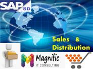 sap sd online training