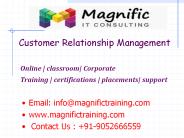 sales force crm online training