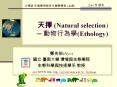 ?? (Natural selection) - ?????(Ethology) PowerPoint PPT Presentation