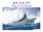 ?? ?? ?? (Blue Ocean Strategy)