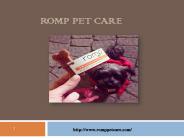 Find Best Philadelphia Dog Walkers-www.romppetcare.com