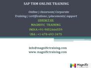 sap trm(Treasury & Risk Management) online training