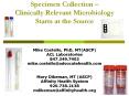 Specimen Collection  PowerPoint PPT Presentation