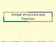 Animal structure and function