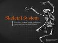 Skeletal System PowerPoint PPT Presentation