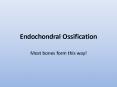 Endochondral Ossification PowerPoint PPT Presentation
