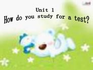 How do you study for a test?