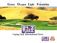 Green  Oxygen  Light  Friendship PowerPoint PPT Presentation