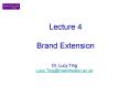 Lecture 4  Brand Extension PowerPoint PPT Presentation