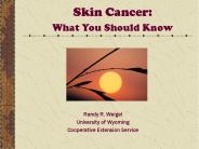 Skin Cancer: