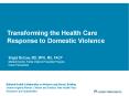 National Health Collaborative on Violence and Abuse | Briefing PowerPoint PPT Presentation