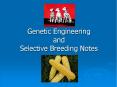 Genetic Engineering and Selective Breeding Notes PowerPoint PPT Presentation