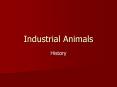 Industrial Animals PowerPoint PPT Presentation