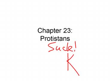Chapter 23: Protistans