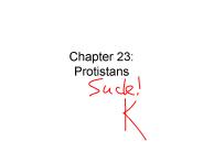 Chapter 23: Protistans