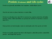 Protists (Protistans) and Life cycles