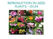 REPRODUCTION IN SEED PLANTS 