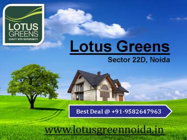 Lotus Greens