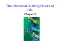 The Chemical Building Blocks of Life PowerPoint PPT Presentation
