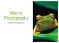 Macro Photography PowerPoint PPT Presentation