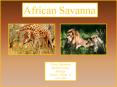 African Savanna PowerPoint PPT Presentation