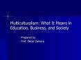 Multiculturalism: What It Means in Education, Business, and Society PowerPoint PPT Presentation