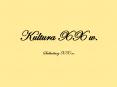 Kultura XX w. PowerPoint PPT Presentation