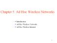 Chapter 5: Ad Hoc Wireless Networks PowerPoint PPT Presentation