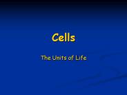 Cells