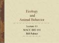 Ecology and Animal Behavior PowerPoint PPT Presentation