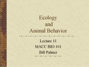 Ecology and Animal Behavior