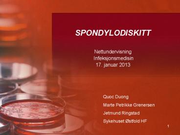 SPONDYLODISKITT