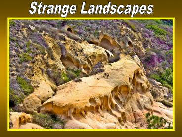 Strange Landscapes