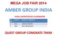 AMBER GROUP INDIA PowerPoint PPT Presentation