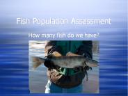 Fish Population Assessment
