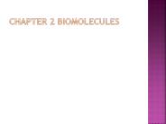 Chapter 2 BioMOlecules