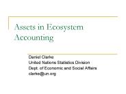 Assets in Ecosystem Accounting
