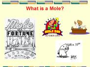 What is a Mole?