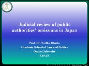 Judicial review of public authorities