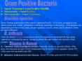 1- Spore-Forming Gram-Positive Bacilli: A- Strict aerobic  PowerPoint PPT Presentation